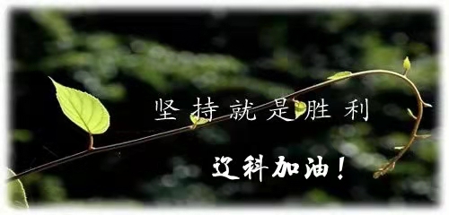 819085bbaf3a14be0ea17aed6929df2